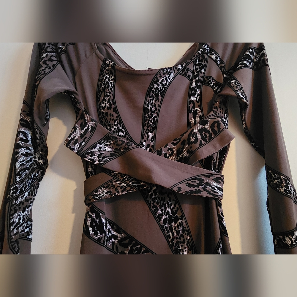 Sexy Belted Long Sleeve Leopard Print Dress